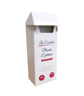 BANDES ÉPILATION X 250